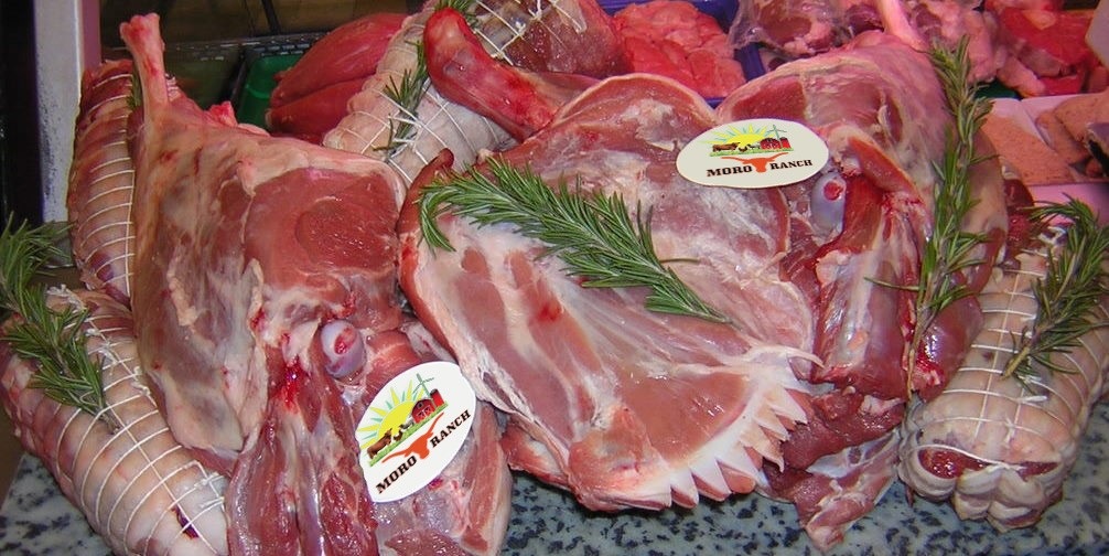 Moro Ranch logo on lamb 2